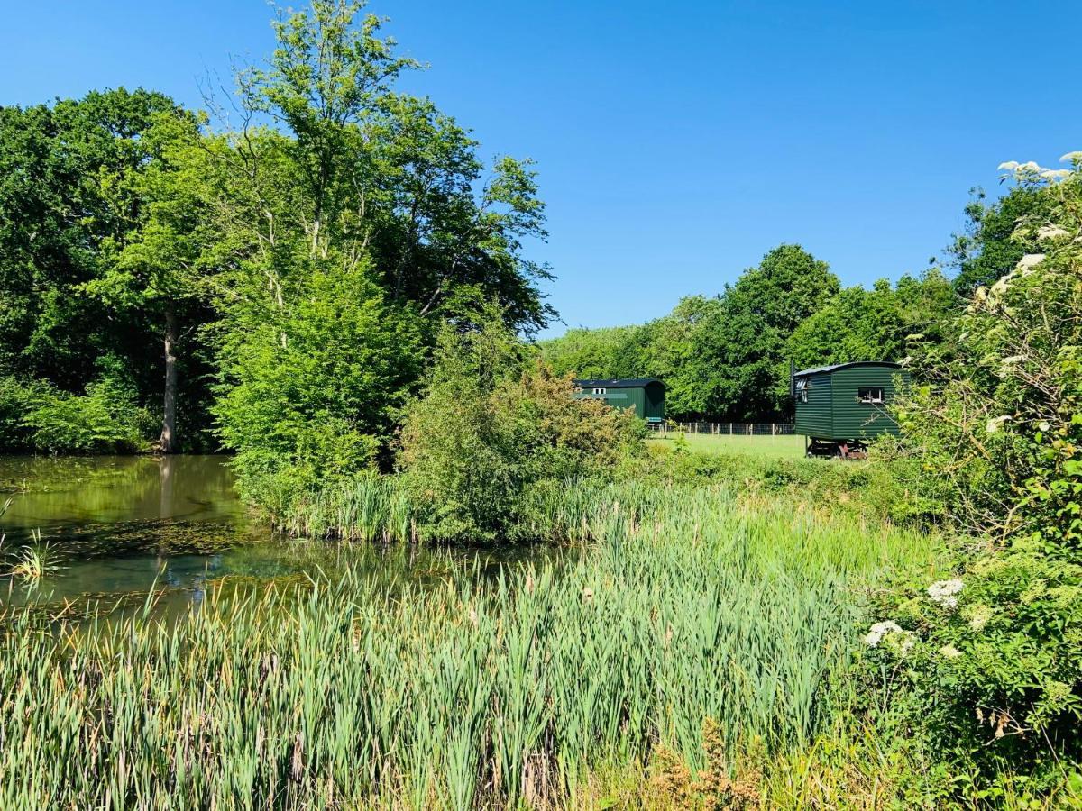 The Big Green Shepherds Hut Charlwood Exterior photo